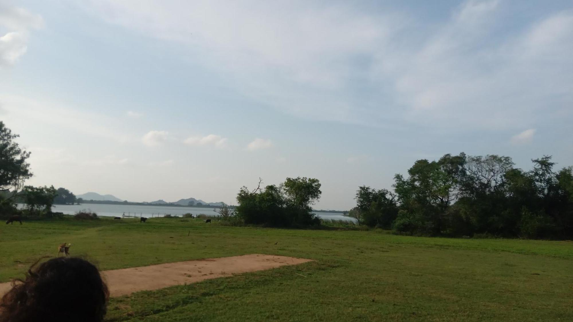 The King'S Garden Resort Dambulla Kültér fotó